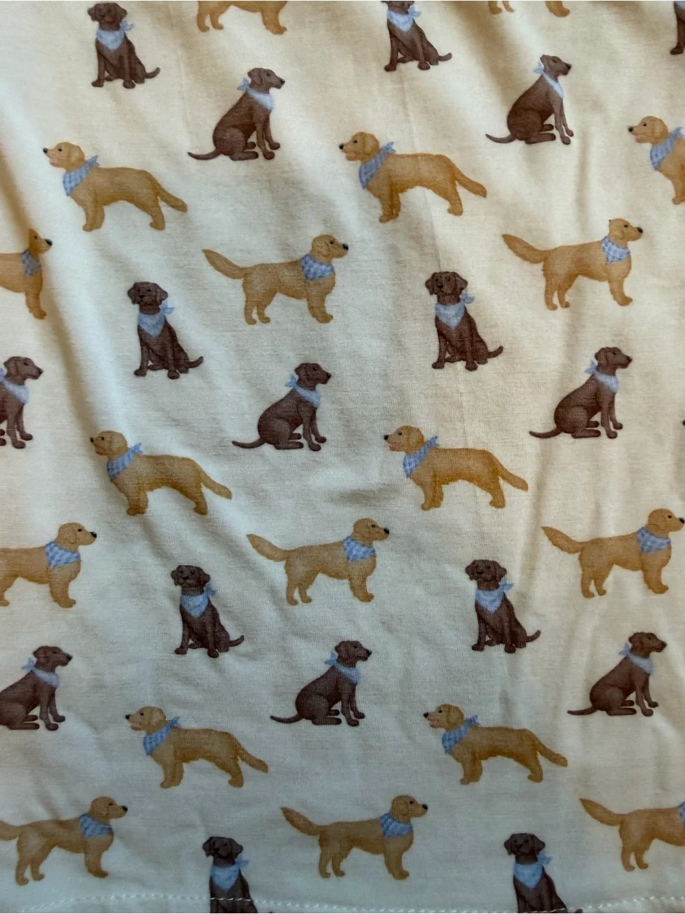 Stitchy Fish Bamboo Short Sleeve Dog Print Pajama Set - Blue Trim